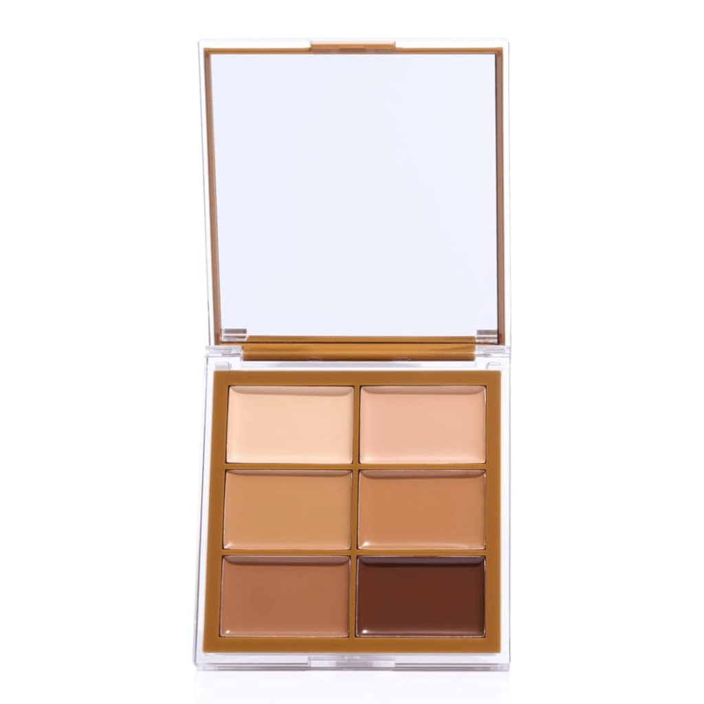 Look Alyfe Beauty Creations Bronze Snatchural Concealer Palette