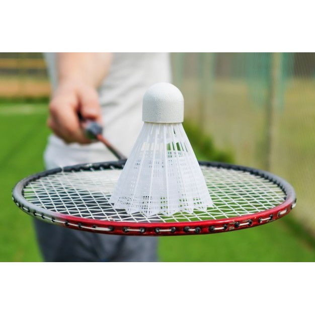 Look Alyfe Cosco Multicolor Strung Aluminum Badminton Racquet - CB-110