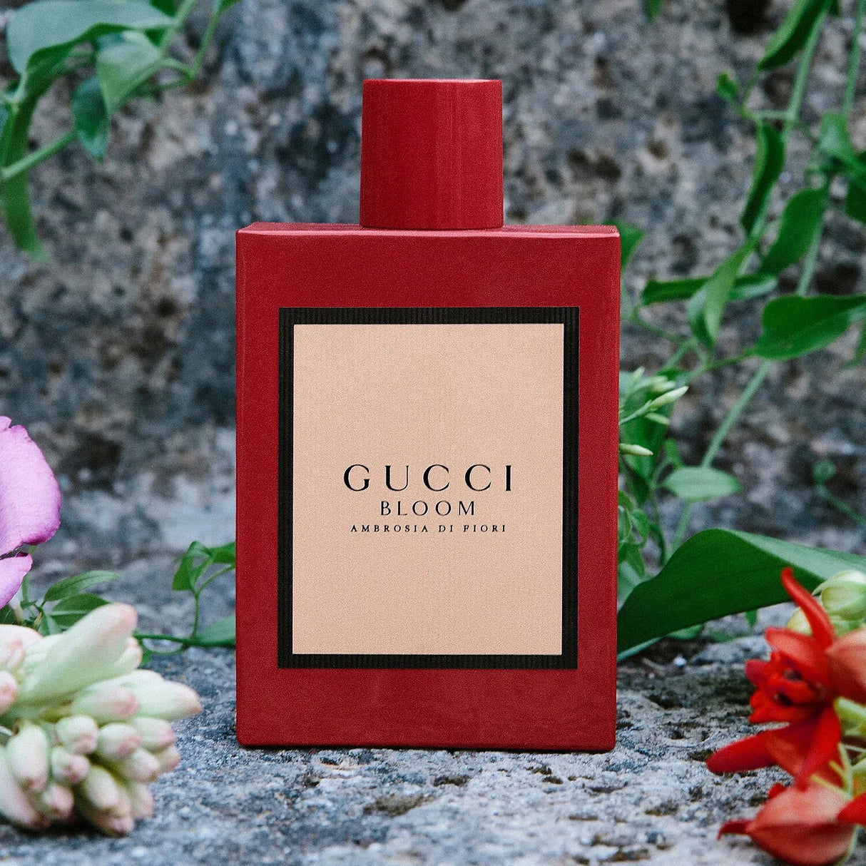 Look Alyfe Gucci Bloom Ambrosia Di Fiori Eau De Parfum - 100ml