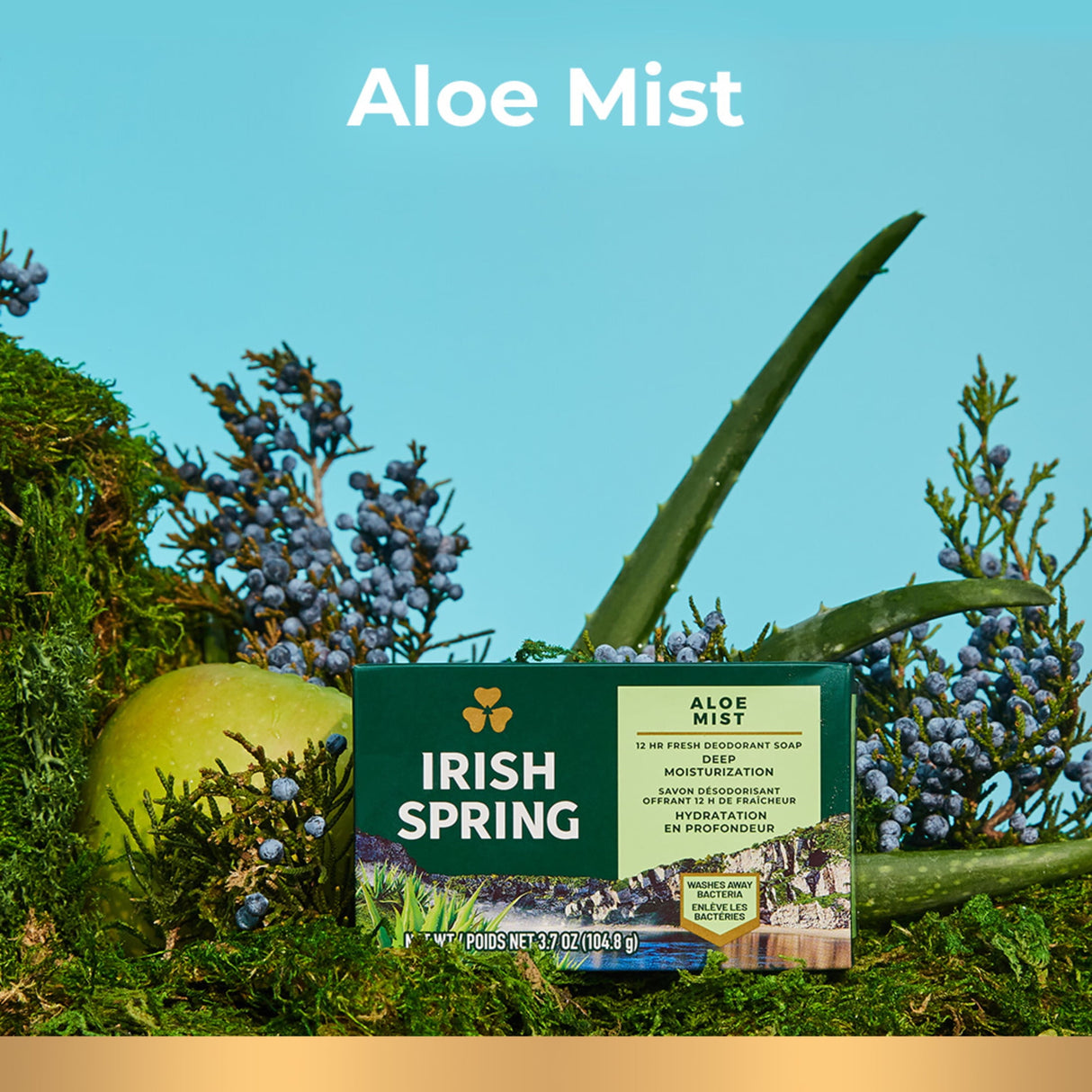 Look Alyfe Irish Spring 3-Pack Aloe Deodorant Bar Soap - 100g