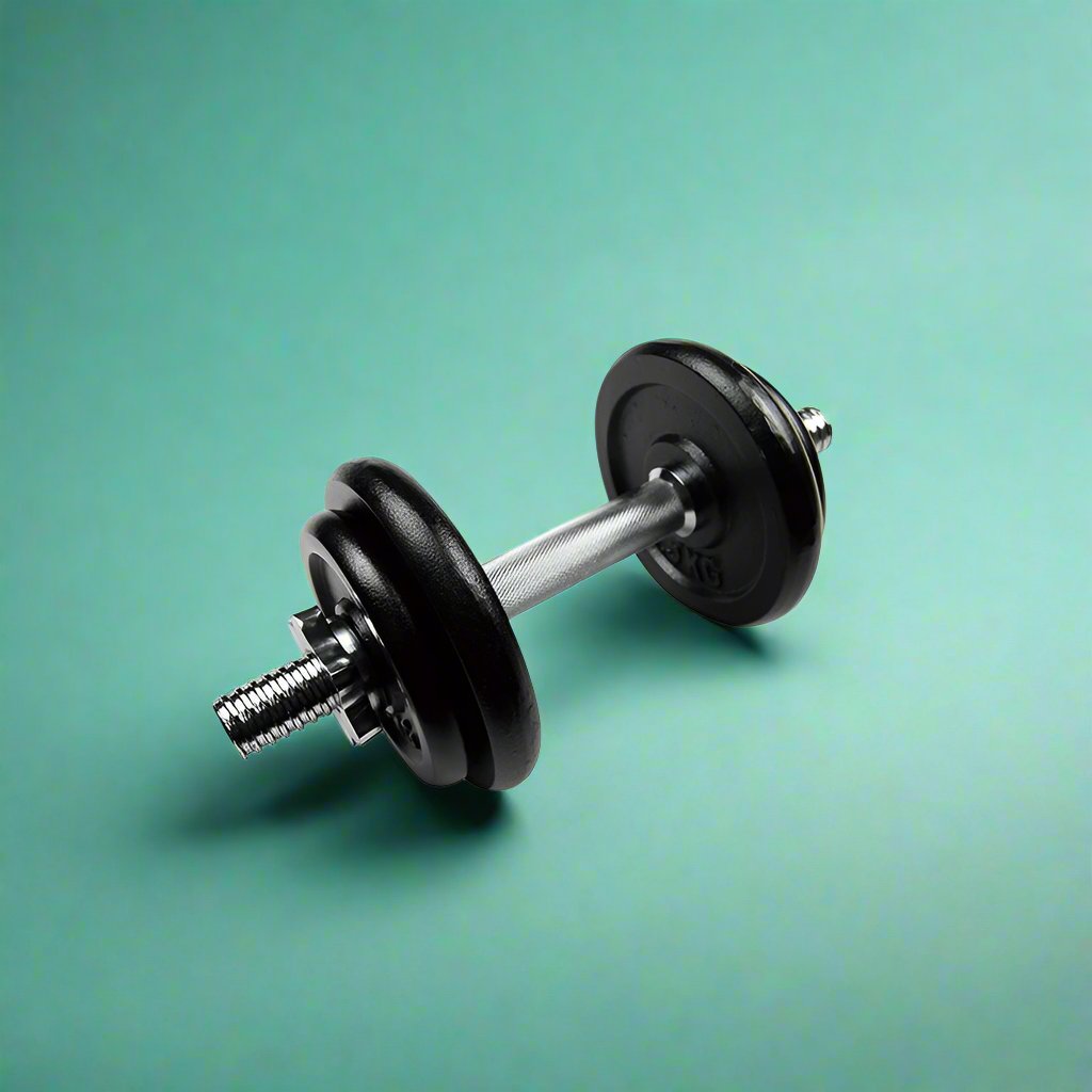 Look Alyfe Proesce Dumbbell Set With Spring Collar 10kg - LDBS-1102